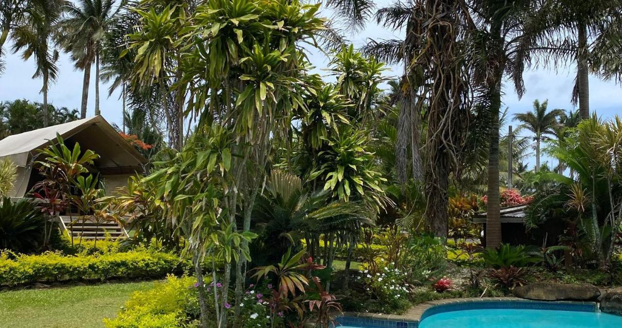 Ikurangi Eco Retreat Hotel Rarotonga Eksteriør billede