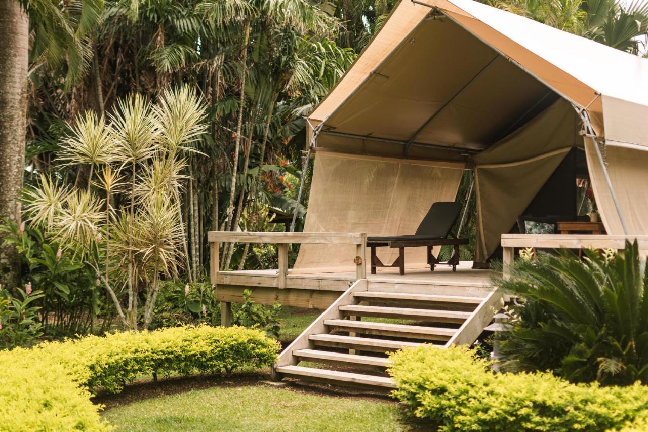Ikurangi Eco Retreat Hotel Rarotonga Eksteriør billede