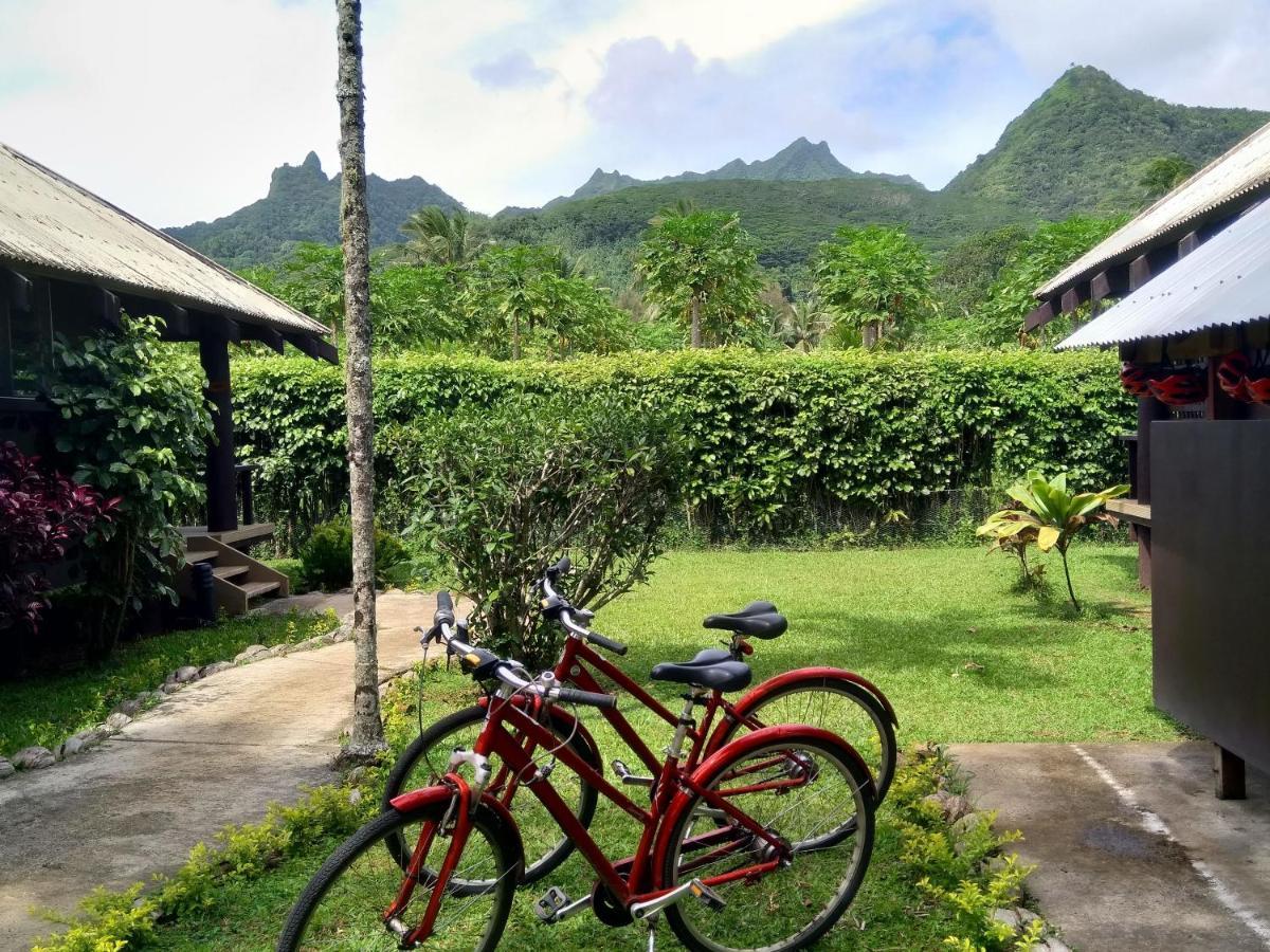 Ikurangi Eco Retreat Hotel Rarotonga Eksteriør billede