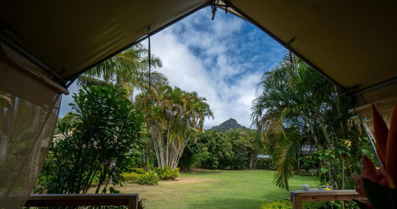 Ikurangi Eco Retreat Hotel Rarotonga Eksteriør billede