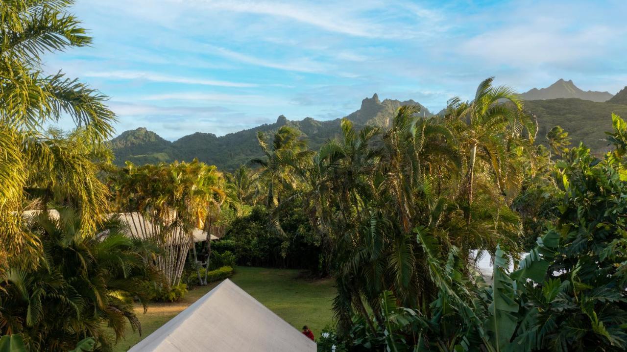 Ikurangi Eco Retreat Hotel Rarotonga Eksteriør billede